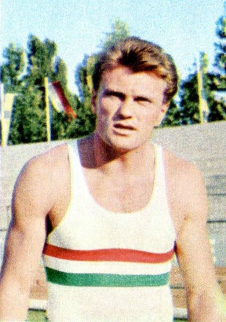 Gyula Zsivótzky