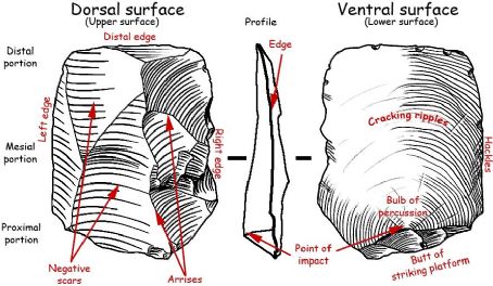 Lithic flake