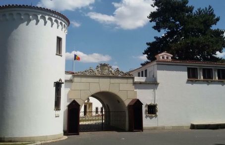 Elisabeta Palace