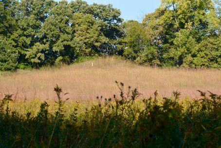 Albany Mounds State Historic Site