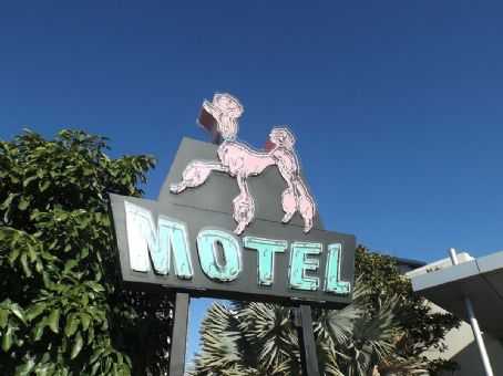The Pink Poodle