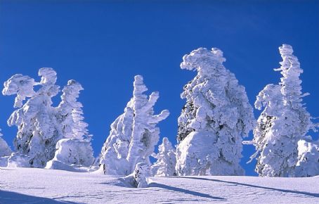 Harzreise im Winter