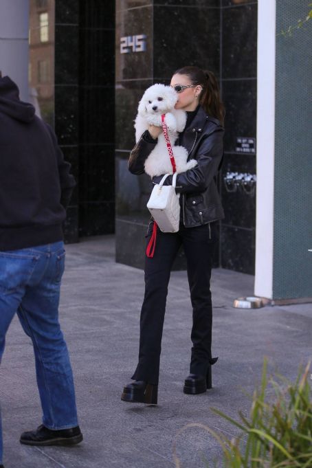 Nicola Peltz – Seen with her dog at Sweetgreen health food restaurant in Beverly Hills