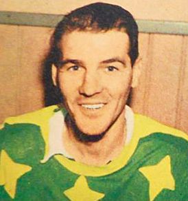 Rolf Pettersson (ice hockey)