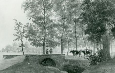 Balduin Wolff