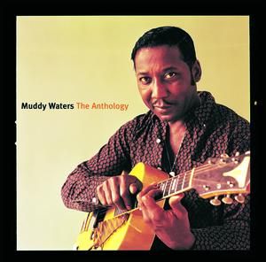 Muddy Waters - Anthology