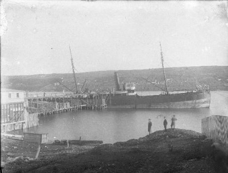 SS Regulus