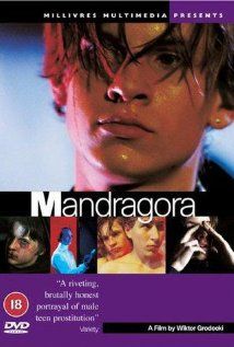 La mandrágora