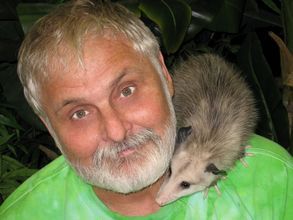 Les Whitt