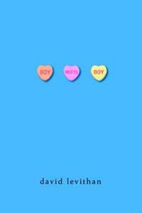 Boy Meets Boy (novel)