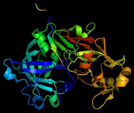 Cathepsin E