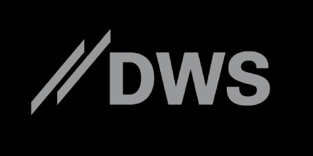 DWS Group