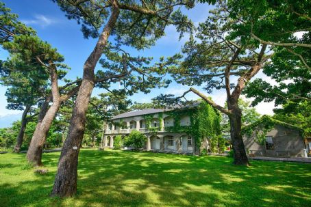 Pine Garden