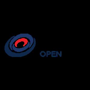 Netsuite Open