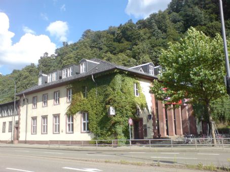 Heidelberg-Altstadt station