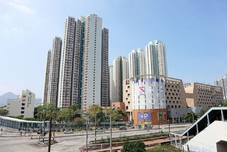 Tin Shing Court