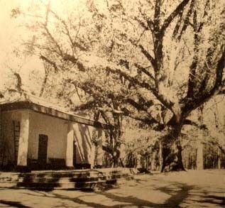 Clemente López de Osornio