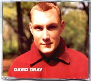 Songs written by David Gray musician FamousFix list