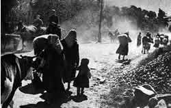 Turkish–Armenian War