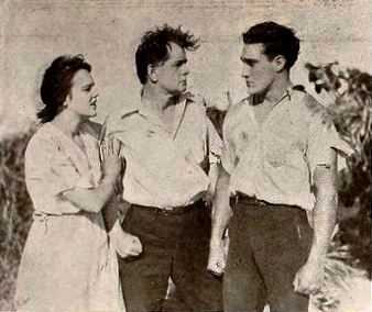Frank D. Williams (cinematographer)