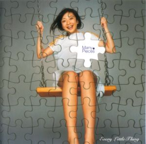 Many Pieces