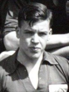 Joop van Nellen