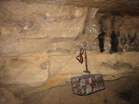 Lutetian Limestone