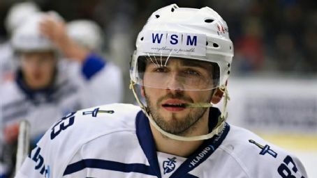 Vitezslav Bilek