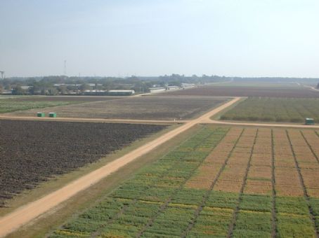 International Crops Research Institute for the Semi-Arid Tropics