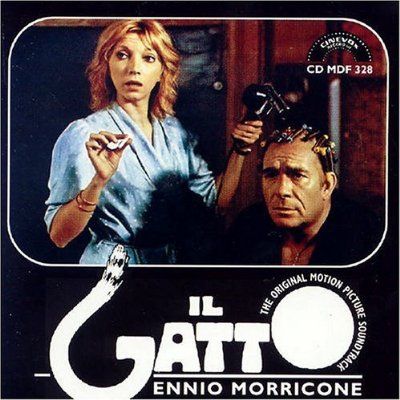 Il gatto