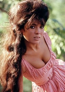 Patti Reynolds