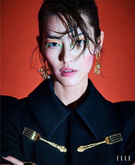 Liu Wen - Elle Magazine Pictorial [Singapore] (September 2022) | Liu ...