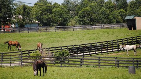 Old Friends Equine