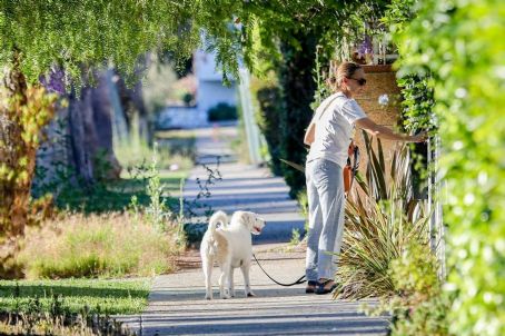 Jodie Foster – Goes for a walk with her dog in Los Angeles