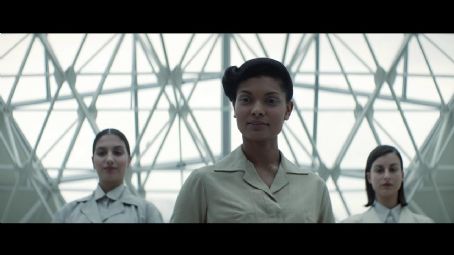 Extinction 53192900 - Sandra Teles