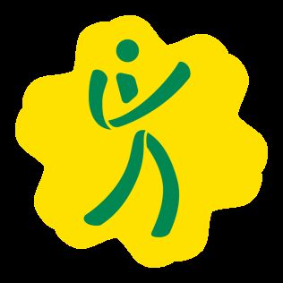 Volleyball at the 2019 Pan American Games