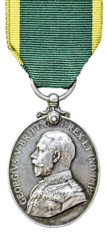 Territorial Efficiency Medal