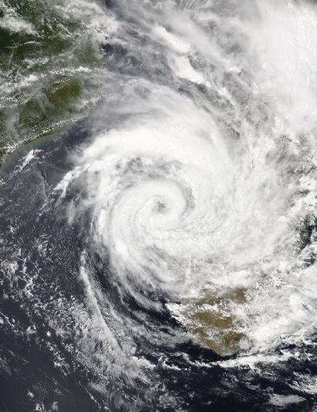 Cyclone Cheneso