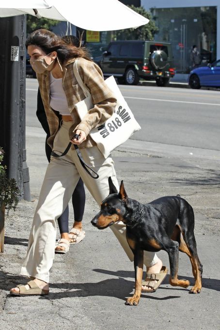 Kendall Jenner – With her doberman out in West Hollywood