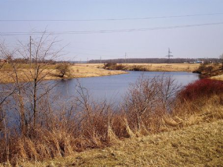 Malčius