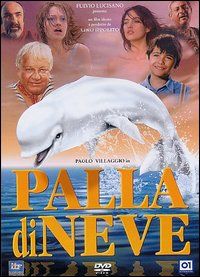 Palla di neve