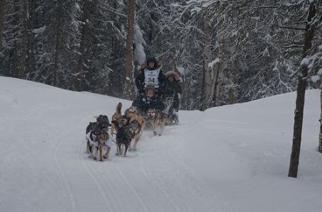 Dallas Seavey