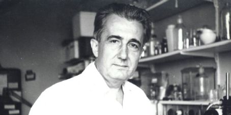 Mirko Beljanski