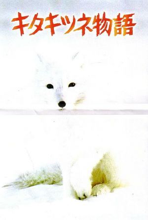 The Glacier Fox