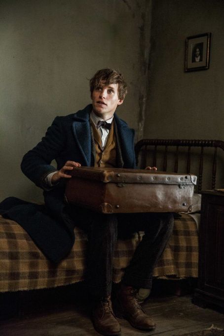 Fantastic Beasts and Where to Find Them (2016)