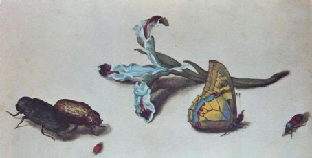 Margaretha de Heer