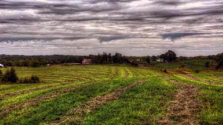 Grant Wood's 