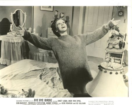 Bye Bye Birdie