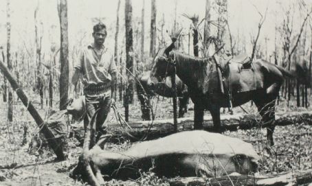 Tom Cole (stockman)