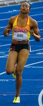 Vida Anim